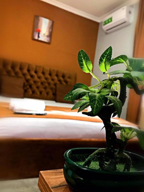 Geo Hotel Tbilisi Esterno foto